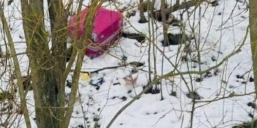 Трансгендер из Карелии и его жена стали подозреваемыми в расчленении тела, найденного у Невы. 01