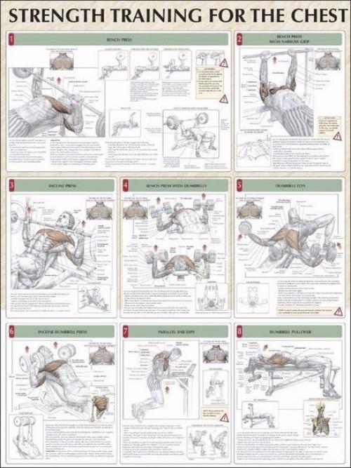 Упражнения на все группы мышц? 04