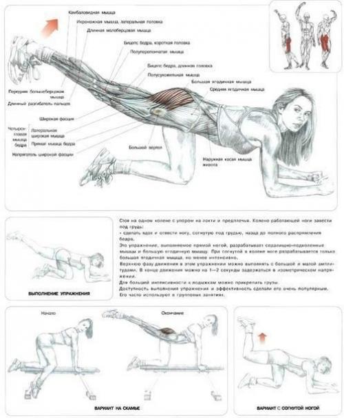 22 лучших упражнения для идеальных ягодиц. 05 22 лучших упражнения для идеальных ягодиц. 05