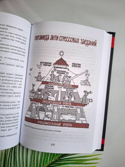 Вот такая интересная новинка на моих книжных полках появилась. 04 Вот такая интересная новинка на моих книжных полках появилась. 04