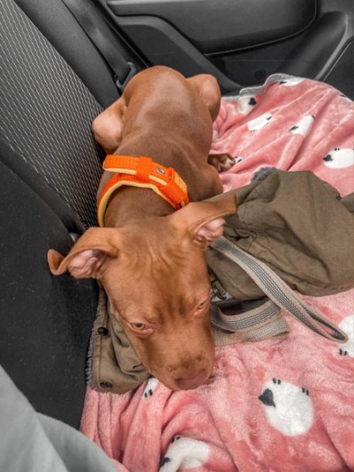 Наконец - то случилась первая тренировка в фитнес зале. 03 Наконец - то случилась первая тренировка в фитнес зале. 03