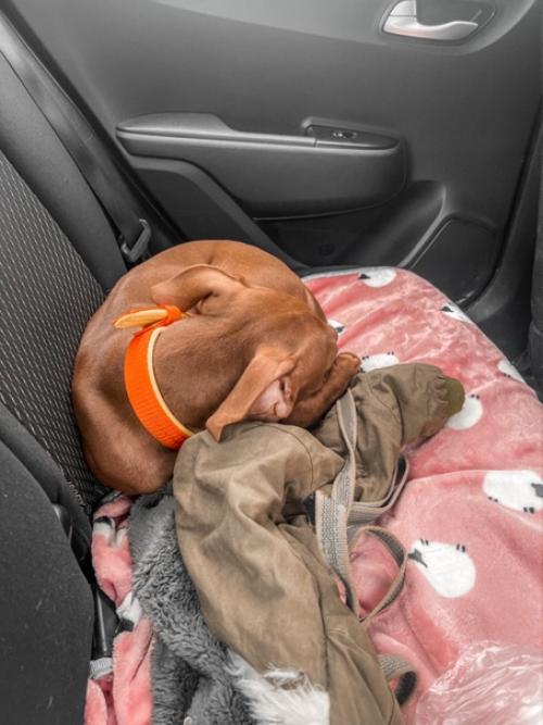 Наконец - то случилась первая тренировка в фитнес зале. 01 Наконец - то случилась первая тренировка в фитнес зале. 01