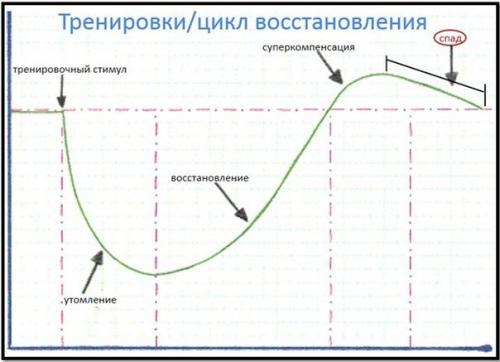 Можно ли качаться каждый день? 02