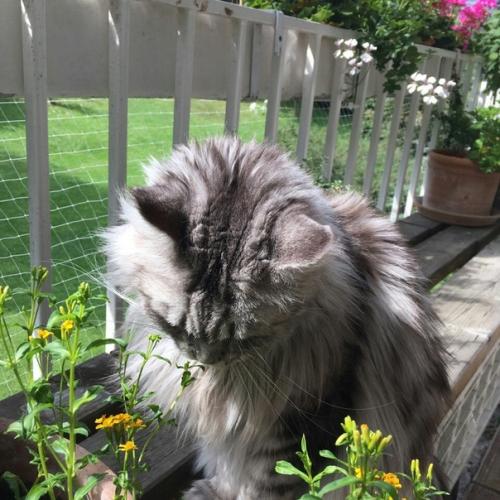 * планы на весну *. 01