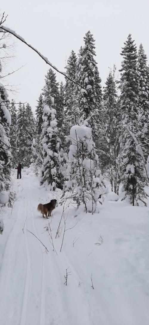 Личный фитнес - тренер Дюк. 03