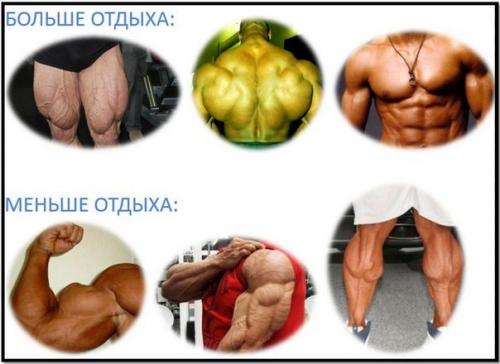 Можно ли качаться каждый день? 01