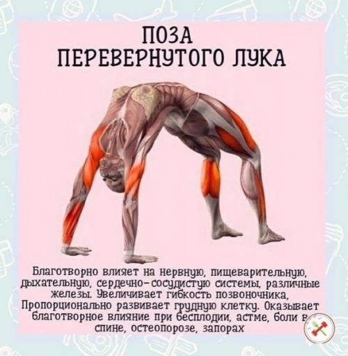 Нормализует работу сердца и сосудов. 01