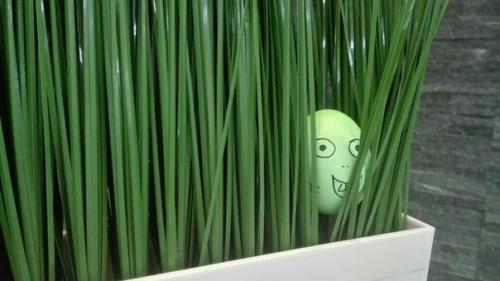 Невероятное приключение круглолицых в Level UP? 01