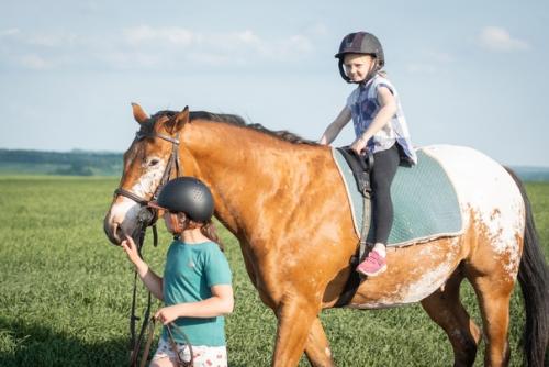 Конный лагерь только для тех кто уже умеет ездить верхом? 04 Конный лагерь только для тех кто уже умеет ездить верхом? 04