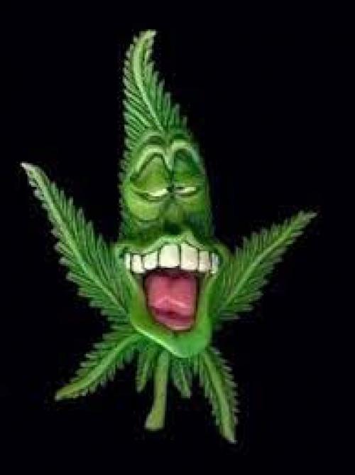 Конопляные страдания. Жизнь полна метаморфоз, каждый век своё привносит, где пшеницу, где овёс, где другие травы косят. 01