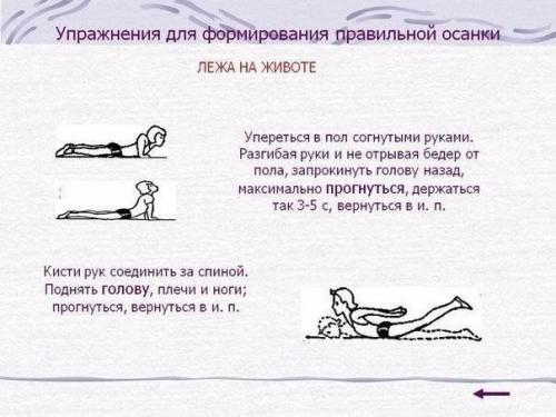Упражнения для красивой осанки и против болей в спине? 03