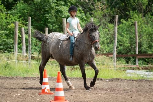 Конный лагерь только для тех кто уже умеет ездить верхом? 09 Конный лагерь только для тех кто уже умеет ездить верхом? 09