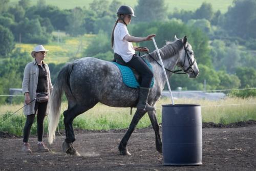Конный лагерь только для тех кто уже умеет ездить верхом? 01 Конный лагерь только для тех кто уже умеет ездить верхом? 01