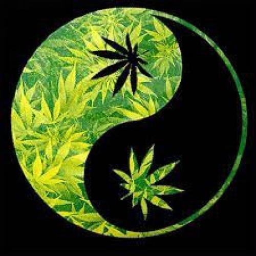 Конопляные страдания. Жизнь полна метаморфоз, каждый век своё привносит, где пшеницу, где овёс, где другие травы косят. 02