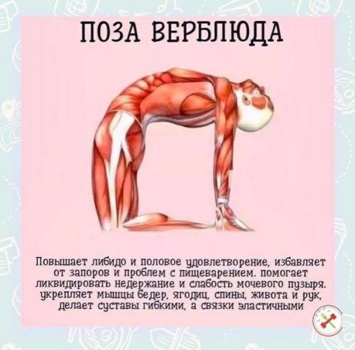 Нормализует работу сердца и сосудов. 03