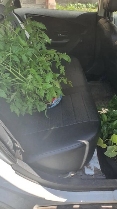 Не делать легче, чем делать. 01