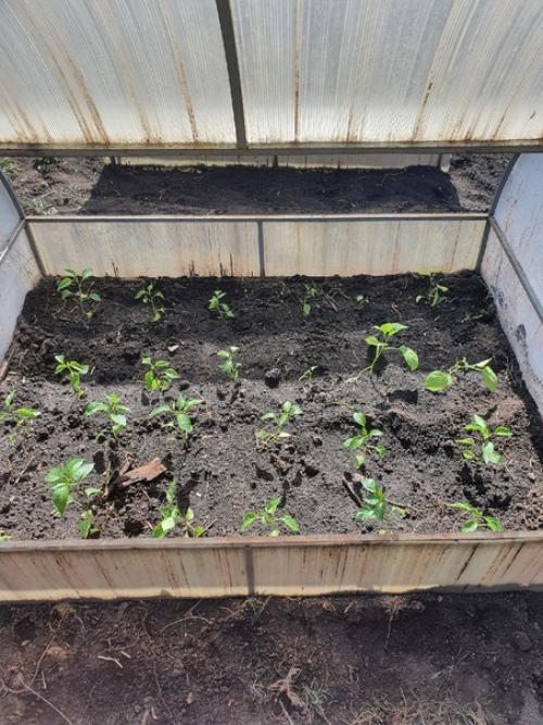 Не делать легче, чем делать. 05