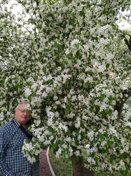 Вчера так устала - занятия фитнесом, потом бассейн, потом прогулка по городу - вернулась домой и улеглась спать. 02