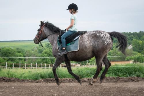 Конный лагерь только для тех кто уже умеет ездить верхом? 07 Конный лагерь только для тех кто уже умеет ездить верхом? 07