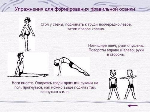 Упражнения для красивой осанки и против болей в спине? 04