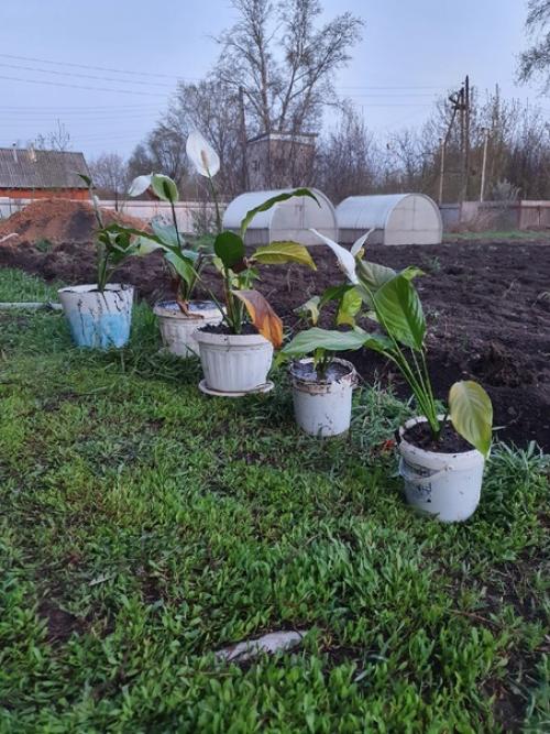 Не делать легче, чем делать. 08