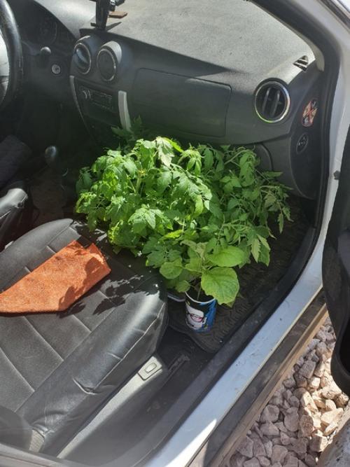 Не делать легче, чем делать. 02