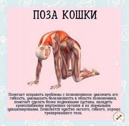 Нормализует работу сердца и сосудов. 04