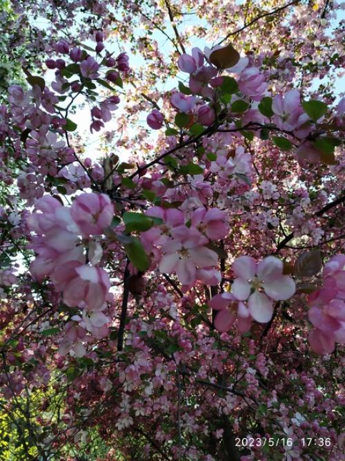 Вчера так устала - занятия фитнесом, потом бассейн, потом прогулка по городу - вернулась домой и улеглась спать. 01