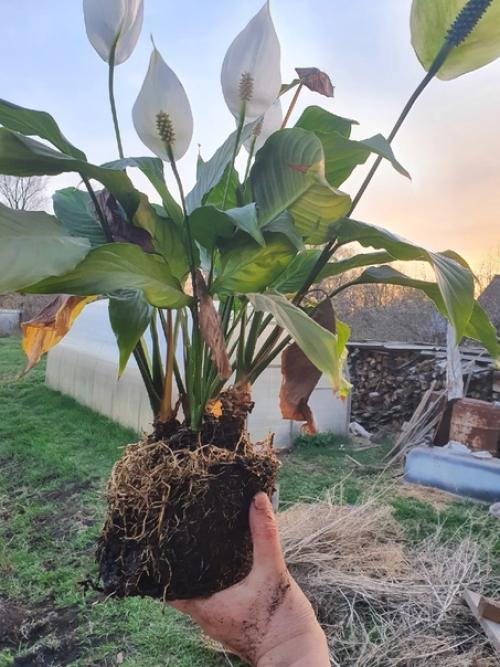 Не делать легче, чем делать. 07