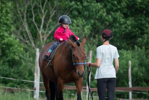 Конный лагерь только для тех кто уже умеет ездить верхом? 08 Конный лагерь только для тех кто уже умеет ездить верхом? 08