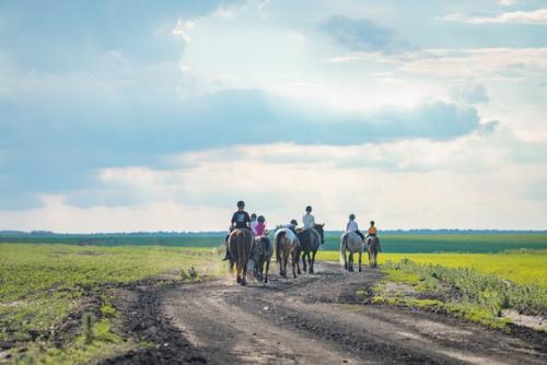 Конный лагерь только для тех кто уже умеет ездить верхом? 03 Конный лагерь только для тех кто уже умеет ездить верхом? 03