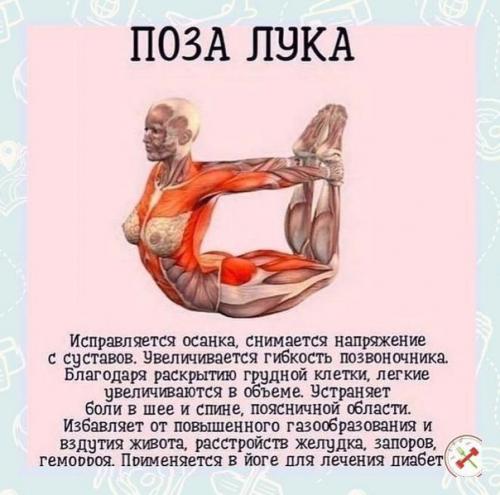 Нормализует работу сердца и сосудов. 05