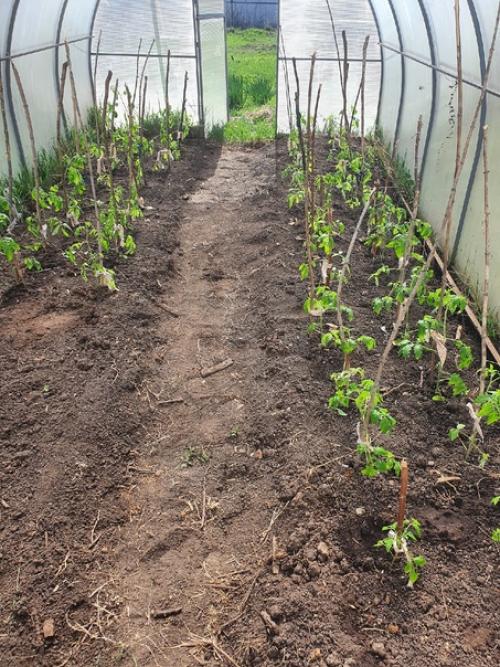 Не делать легче, чем делать. 04