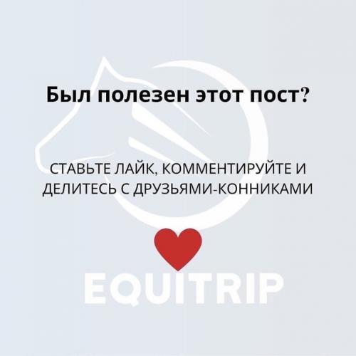 Типы всадников по ошибкам в посадке. 07 Типы всадников по ошибкам в посадке. 07