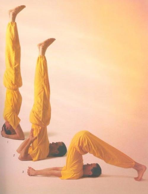 Практика асан: основной комплекс. 01 Практика асан: основной комплекс. 01