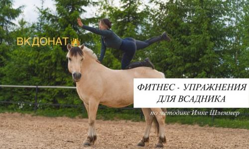 Фитнес - упражнения для всадника.


