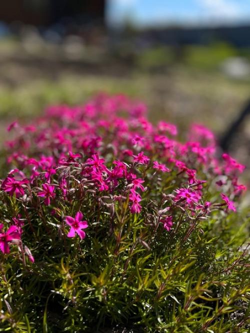 О чём стоит задуматься при переезде за город и о чём вы, как городской житель, знать не знаете? 03 О чём стоит задуматься при переезде за город и о чём вы, как городской житель, знать не знаете? 03
