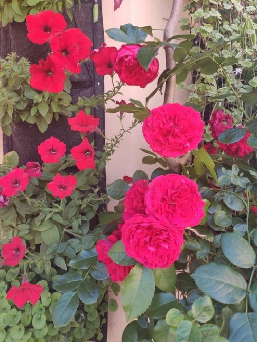 Как я среду люблю! 03