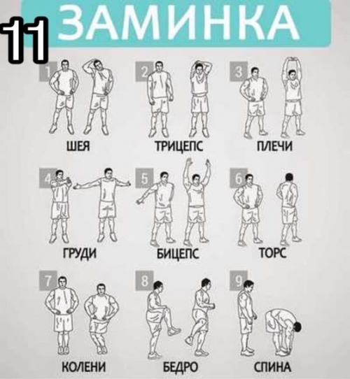 Новичок в спортзале? 07