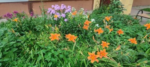 Родина. Все мы покинули свои города в поисках принца и принцессы, лучшей жизни, успеха, впечатлений и приключений. 02