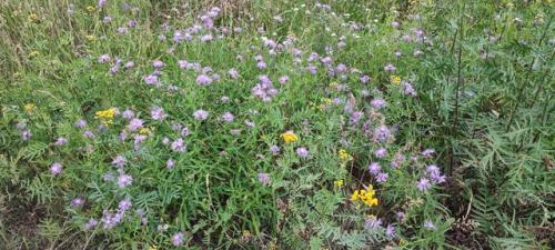 Родина. Все мы покинули свои города в поисках принца и принцессы, лучшей жизни, успеха, впечатлений и приключений. 03