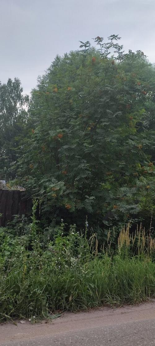 Родина. Все мы покинули свои города в поисках принца и принцессы, лучшей жизни, успеха, впечатлений и приключений. 04