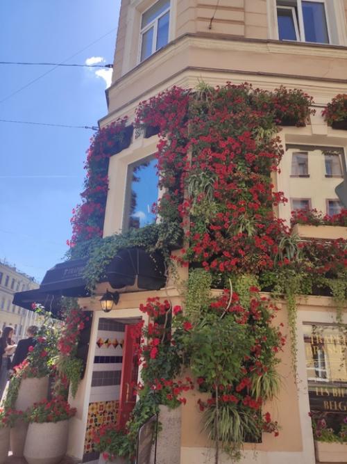 Как я среду люблю! 04