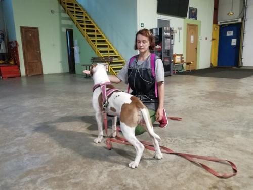 Обыкновенный вторник - самый незаметный день. 03