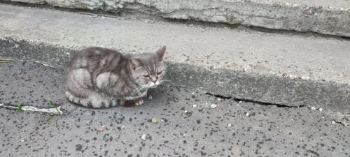 Родина. Все мы покинули свои города в поисках принца и принцессы, лучшей жизни, успеха, впечатлений и приключений. 01