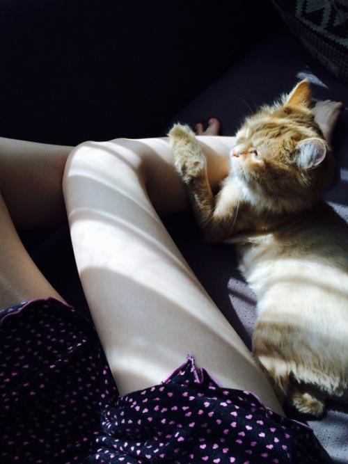 Как добиться экстремальной худобы: 01