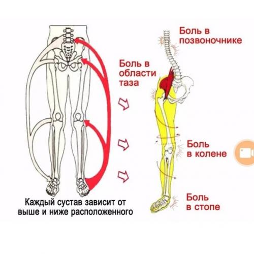В нашем современном мире человек заботится о чем угодно, только не о своих стопах. 02 В нашем современном мире человек заботится о чем угодно, только не о своих стопах. 02