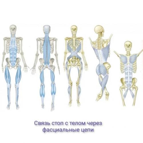 В нашем современном мире человек заботится о чем угодно, только не о своих стопах. 01 В нашем современном мире человек заботится о чем угодно, только не о своих стопах. 01