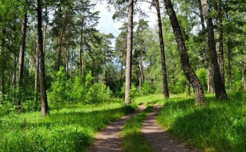 Родина. Все мы покинули свои города в поисках принца и принцессы, лучшей жизни, успеха, впечатлений и приключений. 05