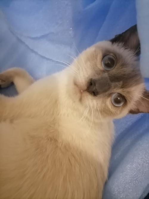 Калуга.  11. 08. 23., . 01